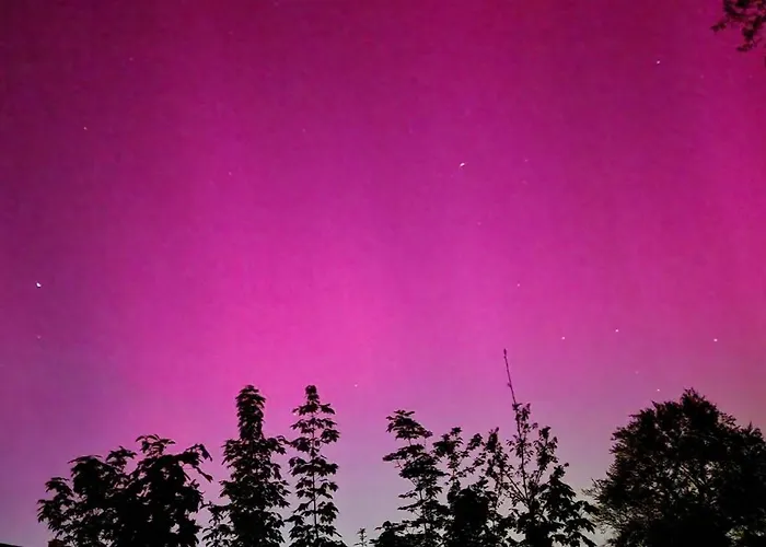 Refugium Aus Vollholz Appartement